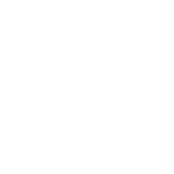 YS Park png