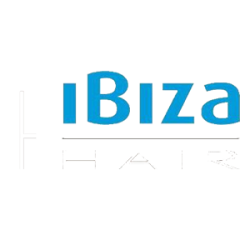 logo ibiz png